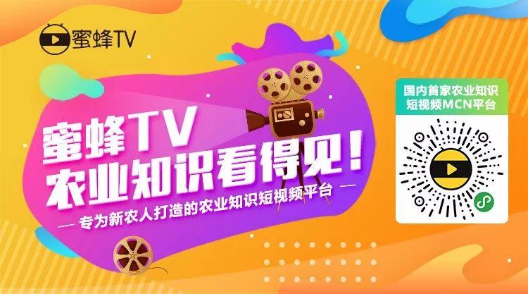 新农宝推出农业短视频平台『蜜蜂TV』，让农业知识看得见！