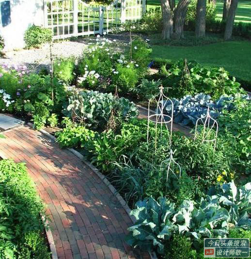 观赏性的菜园如何设计,才能让庭院整体看来更美观?看完记得收藏