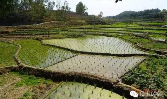 同安顶上乡村