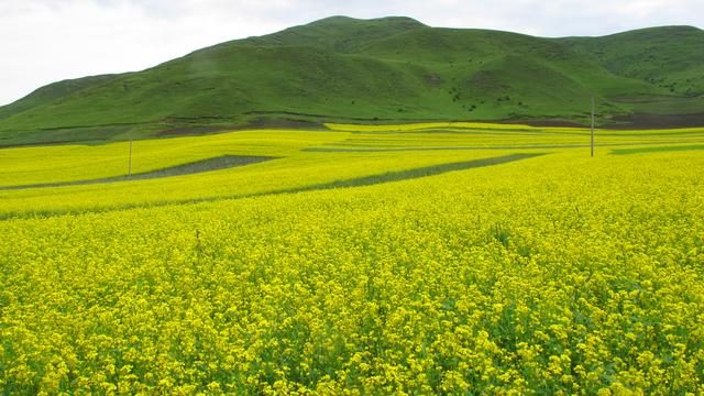 农业农村部推介150条夏季乡村休闲旅游精品线路