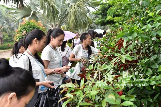 科普日：学生走进植物园科普教育基地开展拼图活动