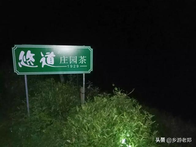 “茶庄园”研学体验