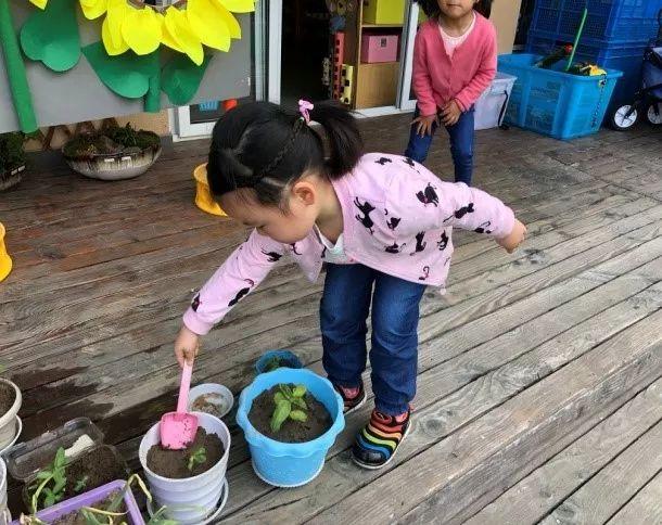 幼儿园的食育课程：传递健康饮食，吸取大自然知识