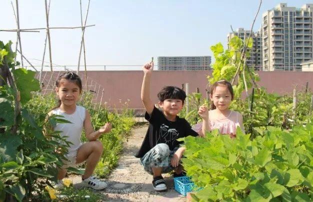 幼儿园的食育课程：传递健康饮食，吸取大自然知识