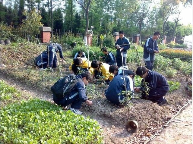 3大顽症！中国有机农业发展受阻，需要如何破解