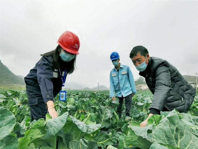 出不去，就在家搞好春耕！安顺农业部门协调支持各地返乡农民工纷纷在当地务工