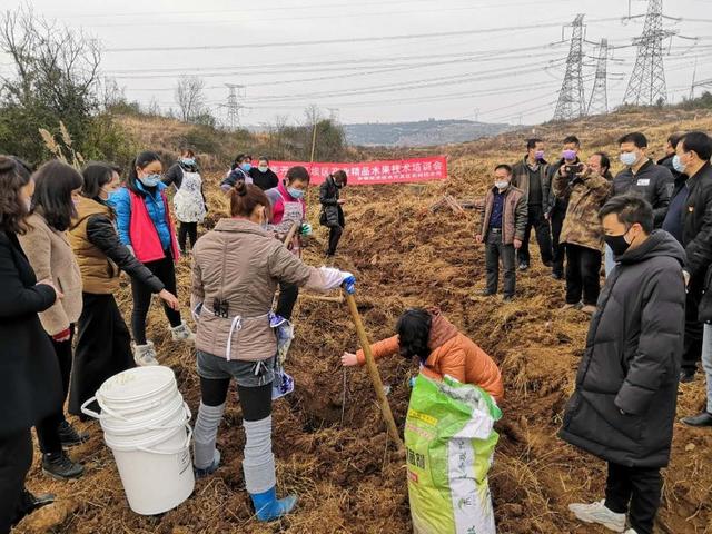 出不去，就在家搞好春耕！安顺农业部门协调支持各地返乡农民工纷纷在当地务工