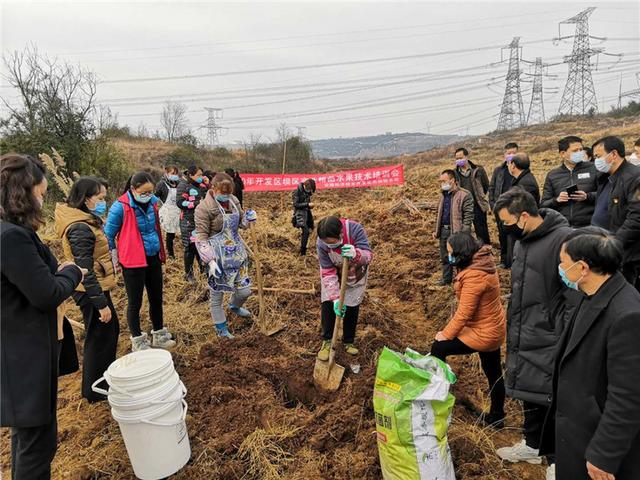 出不去，就在家搞好春耕！安顺农业部门协调支持各地返乡农民工纷纷在当地务工