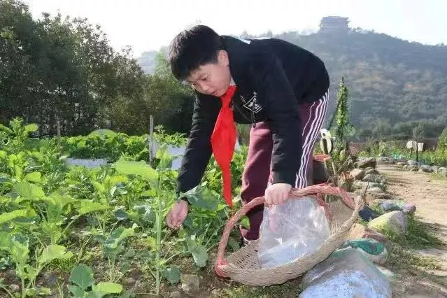 如何在中小学开展劳动教育？这所小学的“新劳动教育”值得点赞