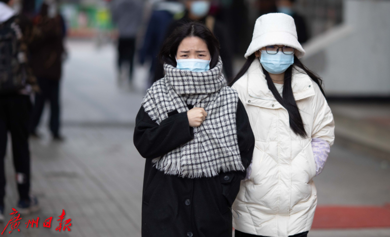 广州冷了一周，最低气温-5.4℃，种植业和水产养殖业受影响！