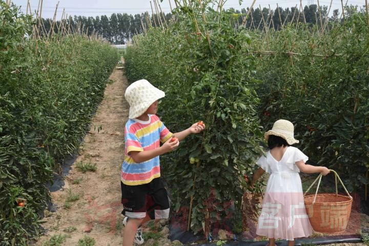 郑州：开展美丽乡村建设研学活动，两年拟建50个美丽乡村精品村