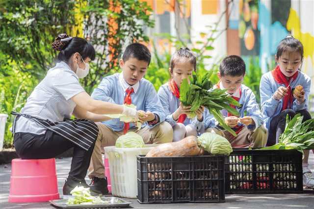 重庆市人民小学劳育特色：城乡学校劳动大联盟，“劳动萌主”微信小程序