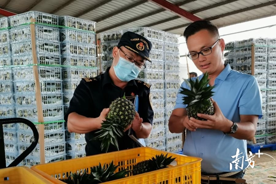 贵州安顺及粤西(湛江茂名)：实施“特色农产品”品牌建设工程